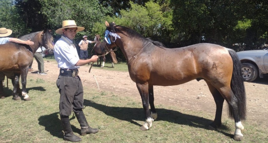 Expo Caballos: ganador de la edici&oacute;n morfol&oacute;gica