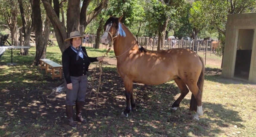 Con un &eacute;xito rotundo, culmin&oacute; la Sexta Exposici&oacute;n de Caballos Criollos en Laprida