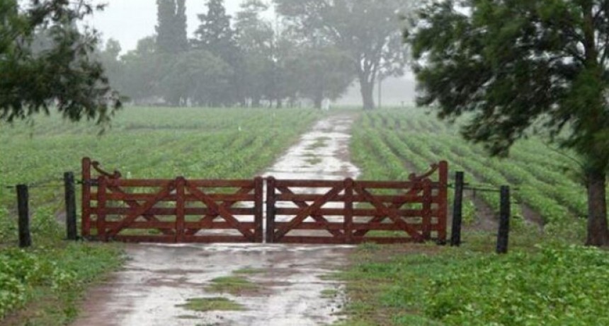 Ley de identificaci&oacute;n de tranqueras: de qu&eacute; se trata el proyecto de seguridad para monitorear los campos