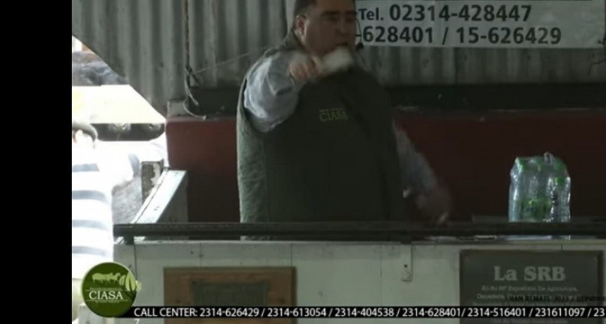 Se realiz&oacute; el remate mensual de Ciasa S.A.