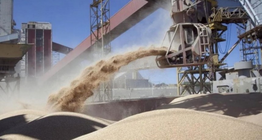 La liquidaci&oacute;n de divisas de la agroexportaci&oacute;n se desplom&oacute; un 75% en septiembre