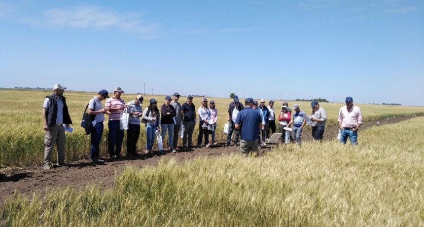 Nueva semana de tranqueras abiertas en las Chacras Experimentales de la Provincia