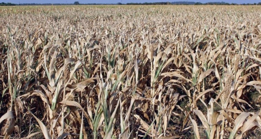 Por sequ&iacute;a y heladas, prorrogan la emergencia agropecuaria en la Provincia de C&oacute;rdoba