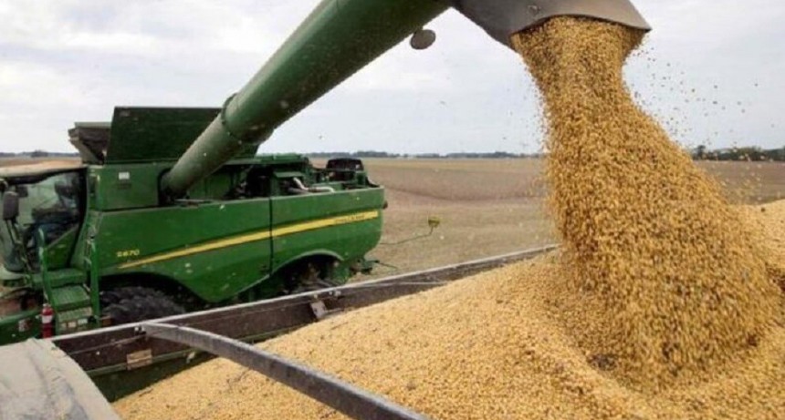 Soja: proyectan una fuerte recuperaci&oacute;n del cultivo tras cuatro campa&ntilde;as de baja sostenida