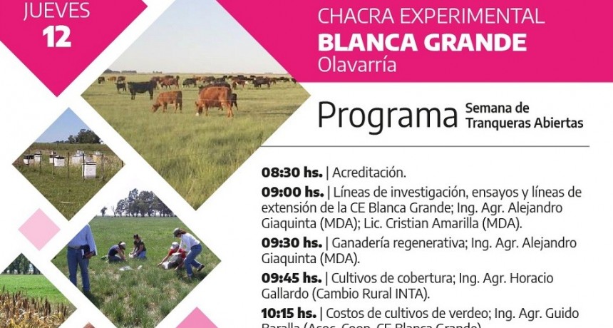 La Chacra Experimental MDA Blanca Grande invita a conocer las innovaciones y los ensayos que lleva adelante