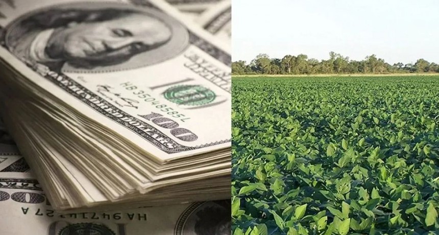 D&oacute;lar Agro: suman productos para acceder a un tipo de cambio diferencial