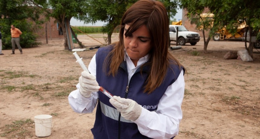 D&iacute;a Internacional de las Mujeres Rurales: Perspectiva de g&eacute;nero en la agricultura