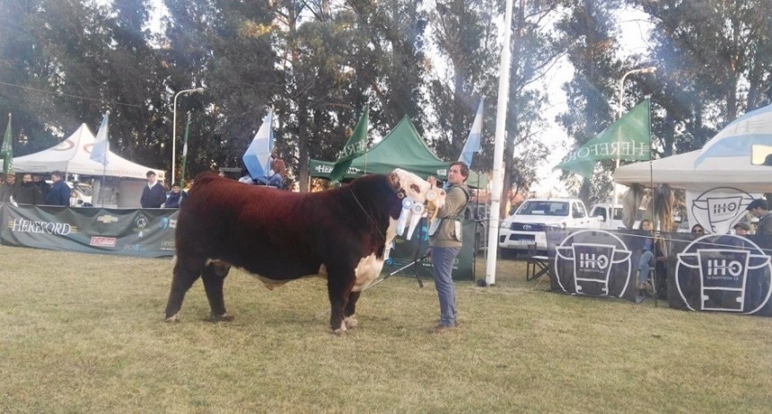 Caba&ntilde;a La Camila y sus logros en la Exposici&oacute;n de San Luis y a lo largo del a&ntilde;o