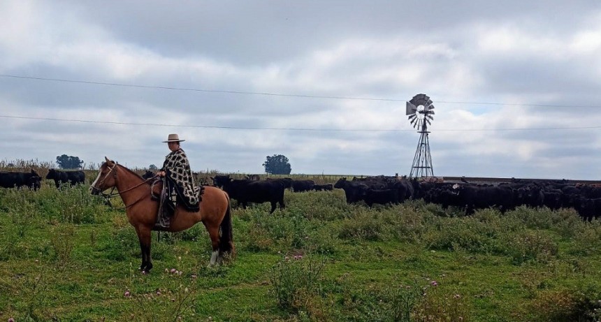 "El agua nos dio un respiro y esto puede llegar a mejorar el panorama complicado que tenemos"
