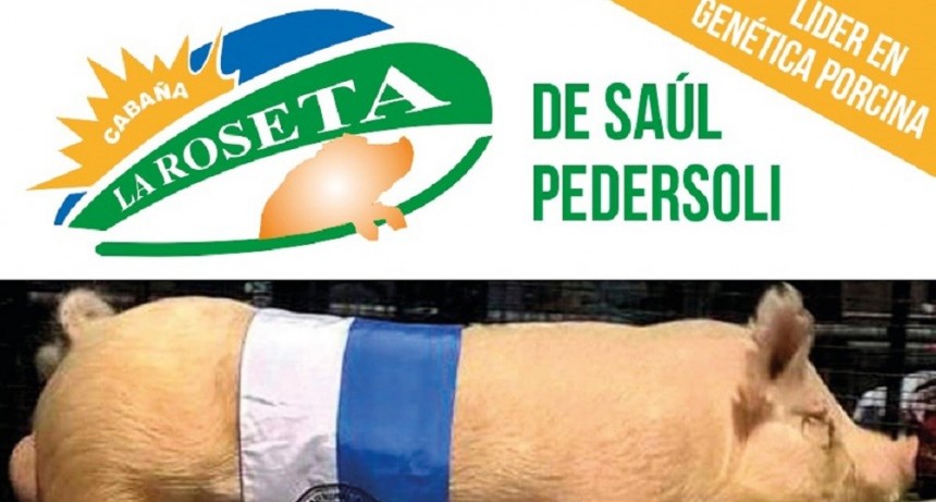 El 4 de noviembre se realiza el remate de porcinos de Caba&ntilde;a La Roseta