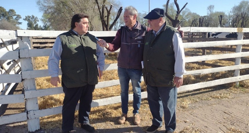 El s&aacute;bado se realiza el remate rural de Ciasa S.A.