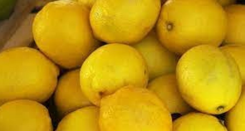 Ingres&oacute; a la Uni&oacute;n Europea el primer cargamento de c&iacute;tricos org&aacute;nicos argentinos tras la reapertura de ese mercado
