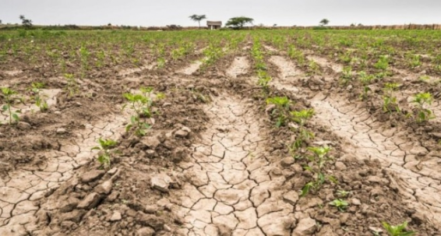 Por la sequ&iacute;a, declaran la emergencia agropecuaria en las Provincia de Buenos Aires y Santa Cruz