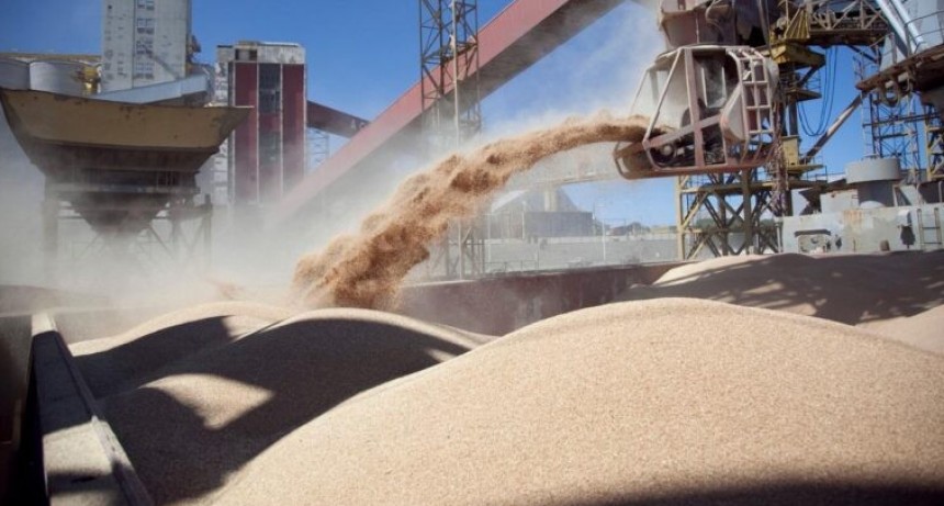 Protocolo de requisitos fitosanitarios para la exportaci&oacute;n de granos de trigo a China