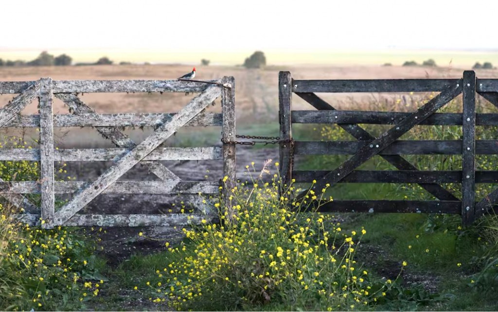 Blanqueo, más confianza y oportunidades: repuntó la compraventa de campos agrícolas y ya hay subas del 10% en los precios