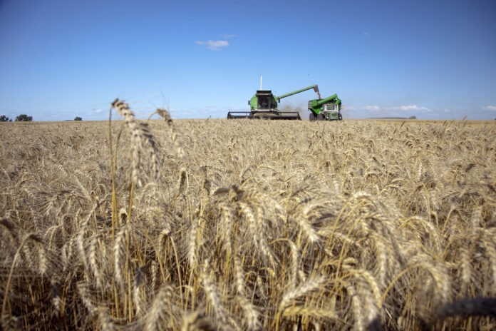 Las lluvias mejoraron las perspectivas del campo en toda la provincia