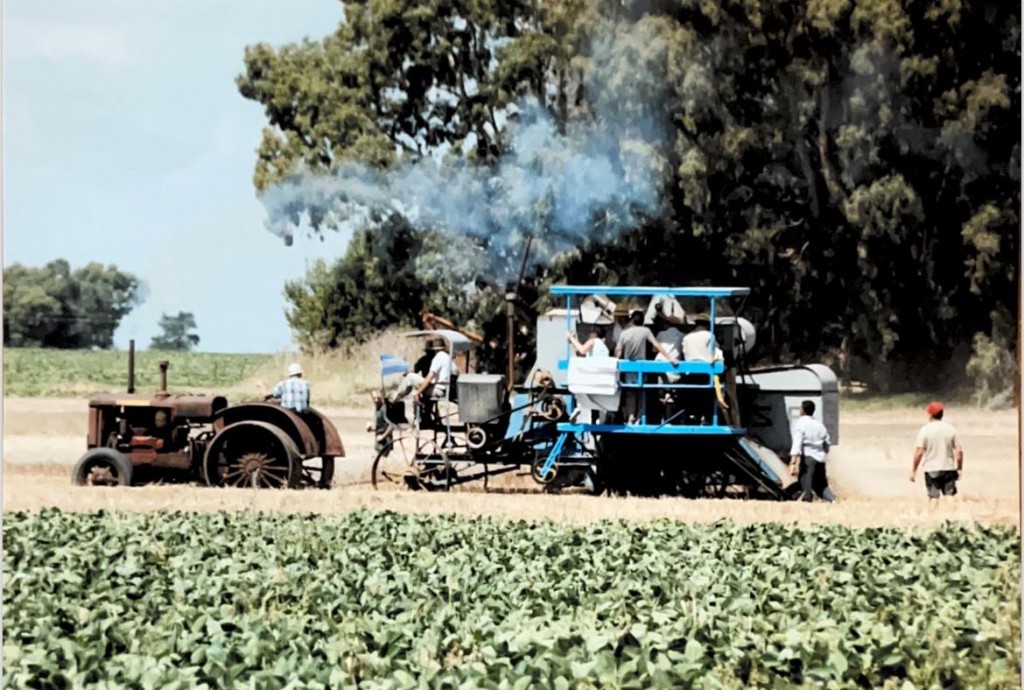 Se inicia la Fiesta del Chacarero y destacan la muestra dinámica