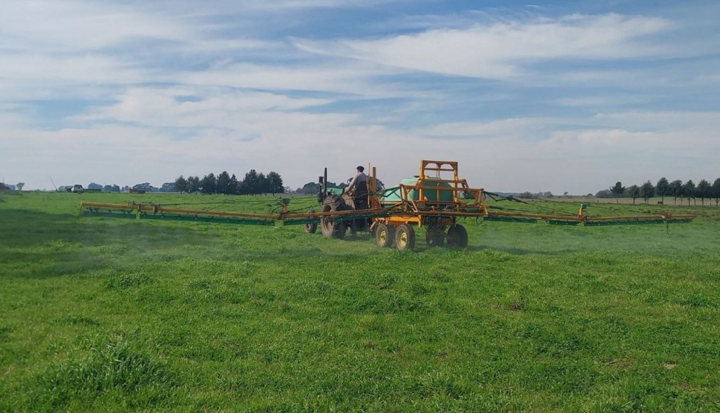 Estudian biopreparados para mejorar la fertilización de pasturas