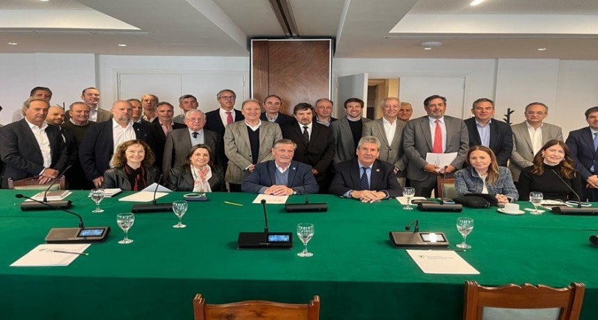 Jos&eacute; Martins ser&aacute; el presidente del Consejo Agroindustrial Argentino