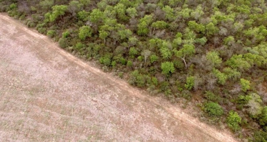 La Uni&oacute;n Europea aplaza un a&ntilde;o la norma sobre productos libres de deforestaci&oacute;n