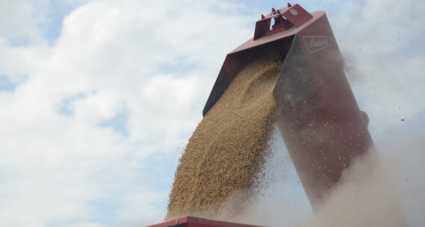Exportaciones: Agricultura cre&oacute; el Directorio de Esquemas de Diferenciaci&oacute;n para la Agroindustria
