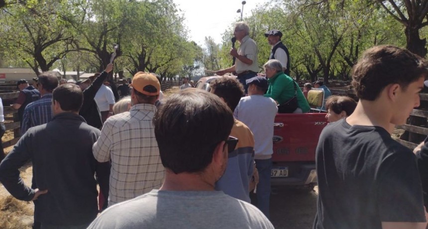Remate UMC junto a Julio Schmalle en Olavarr&iacute;a