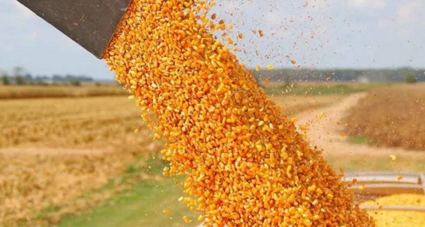 Las entidades agropecuarias pidieron una baja de impuestos para aumentar la cosecha