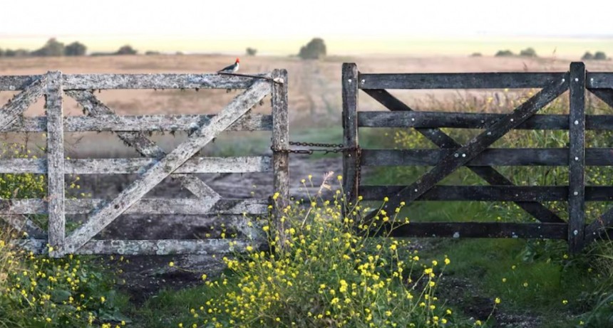 Blanqueo, m&aacute;s confianza y oportunidades: repunt&oacute; la compraventa de campos agr&iacute;colas y ya hay subas del 10% en los precios