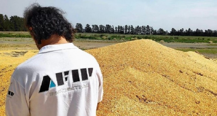AFIP incaut&oacute; m&aacute;s de 5000 toneladas de granos en Los Toldos