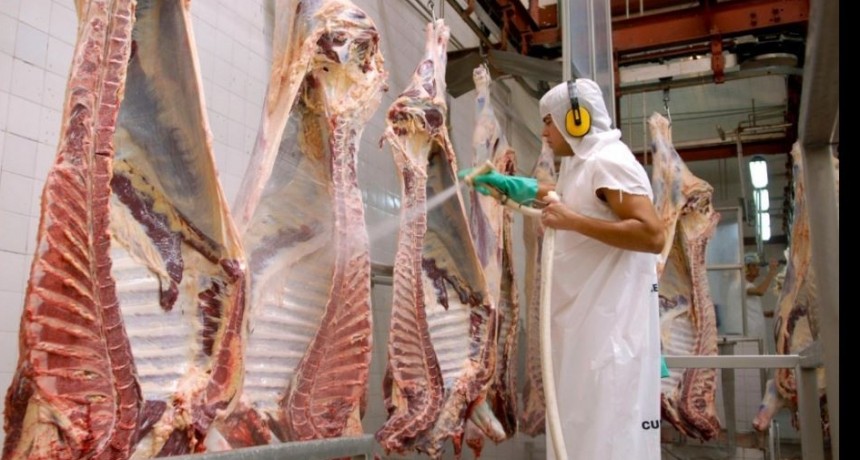Bovinos: los n&uacute;meros de septiembre consolidan un nuevo r&eacute;cord en lo que va del a&ntilde;o