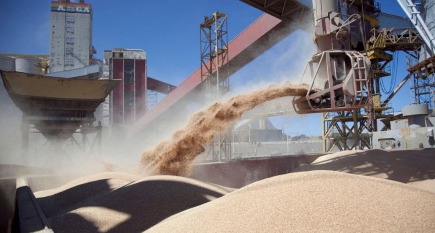 Se simplifica el sistema de control en bodegas de carga para exportaci&oacute;n de granos