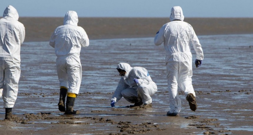 Influenza aviar: Se incorporan nuevas herramientas para detecci&oacute;n temprana en aves silvestres