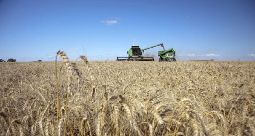 Las lluvias mejoraron las perspectivas del campo en toda la provincia