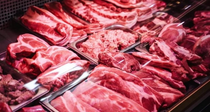 Nuevo mercado para la carne argentina: El Salvador recibi&oacute; el primer cargamento y as&iacute; reacciono Bukele