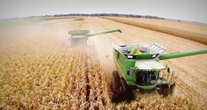 Las exportaciones de soja, trigo y ma&iacute;z impulsan un crecimiento agroindustrial del 26%