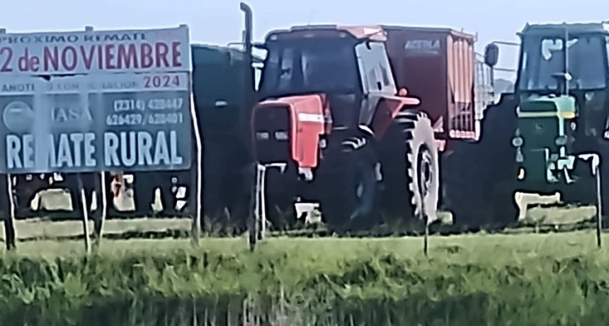 Este s&aacute;bado se realiza el remate rural de Ciasa S.A.