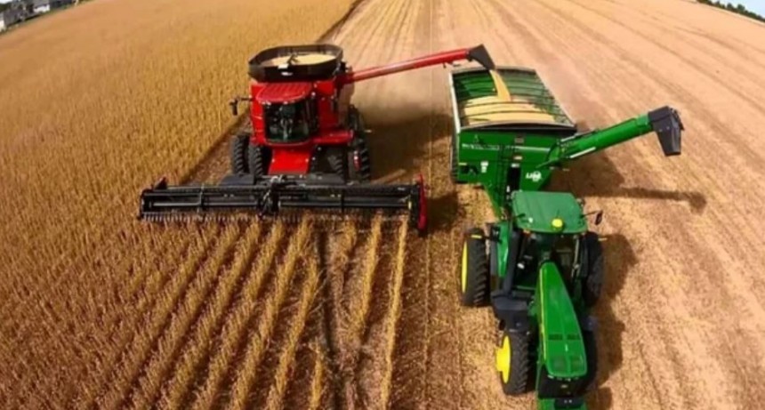 El campo detiene sus inversiones para el a&ntilde;o pr&oacute;ximo por la falta de rentabilidad