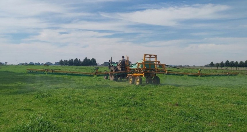 Estudian biopreparados para mejorar la fertilizaci&oacute;n de pasturas