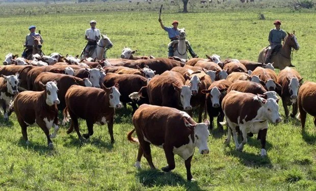 Día del Trabajador Rural: “Se nos han cerrado muchas fuentes de trabajo” 