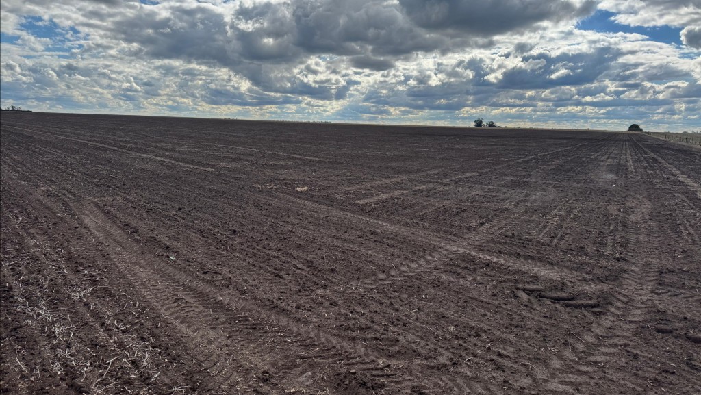 Siembra directa: cay&oacute; al 80,6% el &aacute;rea agr&iacute;cola en 2025/26