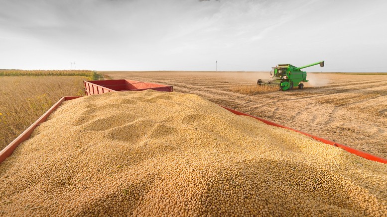 Harina de soja argentina: logra una prima de US$6 por la demanda europea