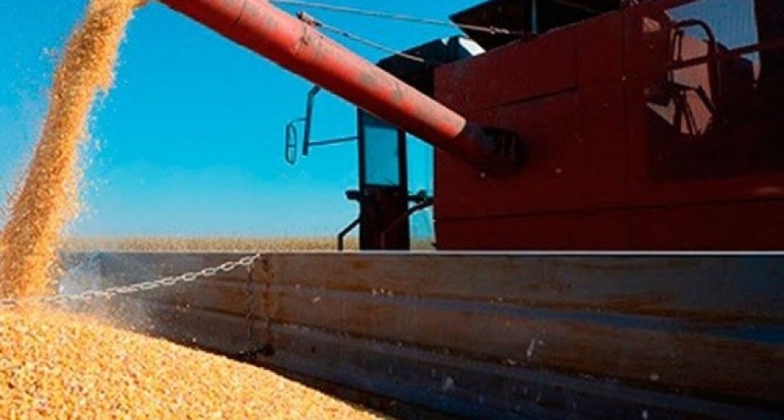 Exportaciones de trigo: septiembre marc&oacute; un r&eacute;cord