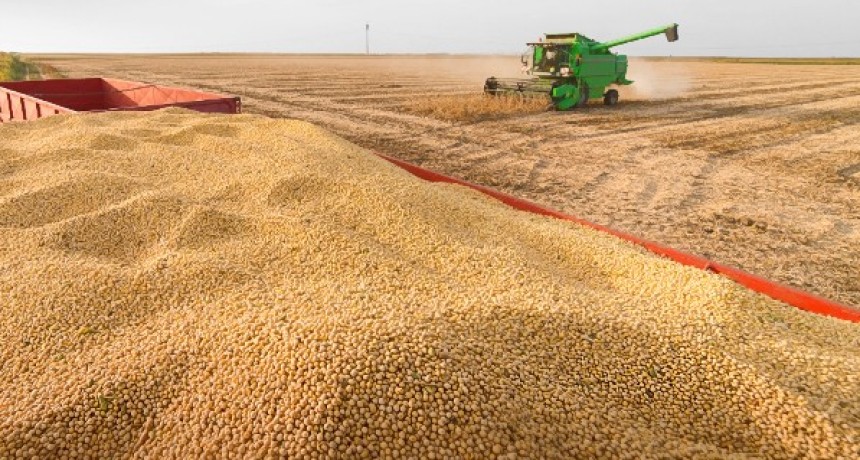 Harina de soja argentina: logra una prima de US$6 por la demanda europea
