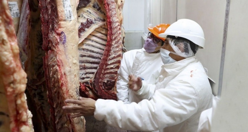 Carnes: Los frigor&iacute;ficos regionales pusieron en pausa al troceo