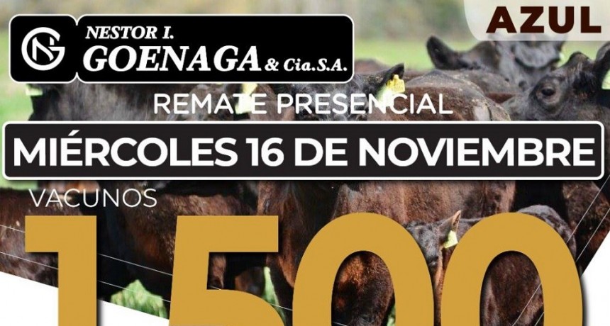 El 16 de noviembre se realiza un nuevo remate de N&eacute;stor I. Goenaga y C&iacute;a 