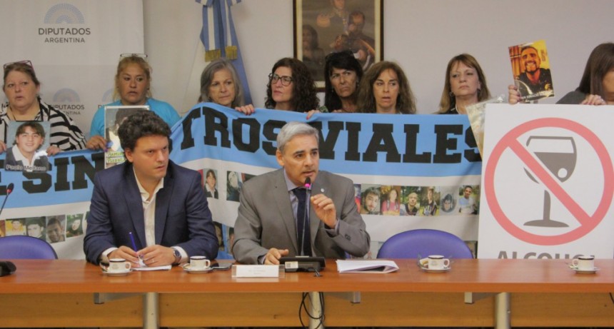 Alcohol Cero al Volante ir&aacute; por la media sanci&oacute;n en la C&aacute;mara de Diputados