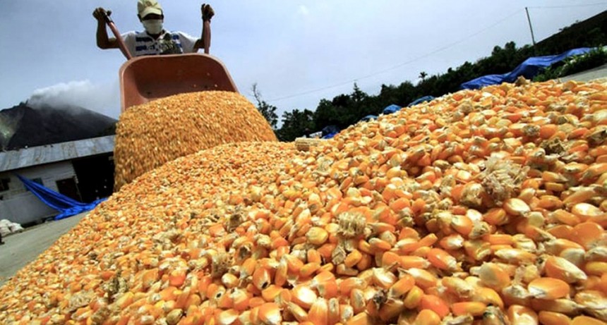 El gobierno destinar&aacute; $15.000 millones para subsidiar a productores de soja y ma&iacute;z