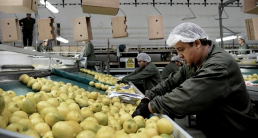 Los consumidores pagan cuatro veces m&aacute;s de lo que cobran los productores agropecuarios