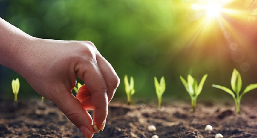 Advierten por trabas en la importaci&oacute;n de fertilizantes y agroqu&iacute;micos