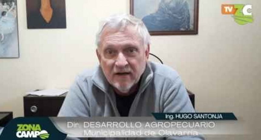 Por ahora, Olavarr&iacute;a no pedir&aacute; la emergencia agropecuaria